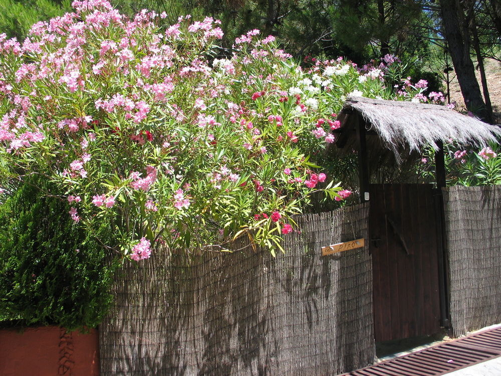 DDG Retreat Hotel Casares Exterior foto